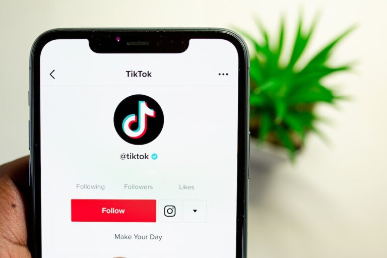 tiktok profile